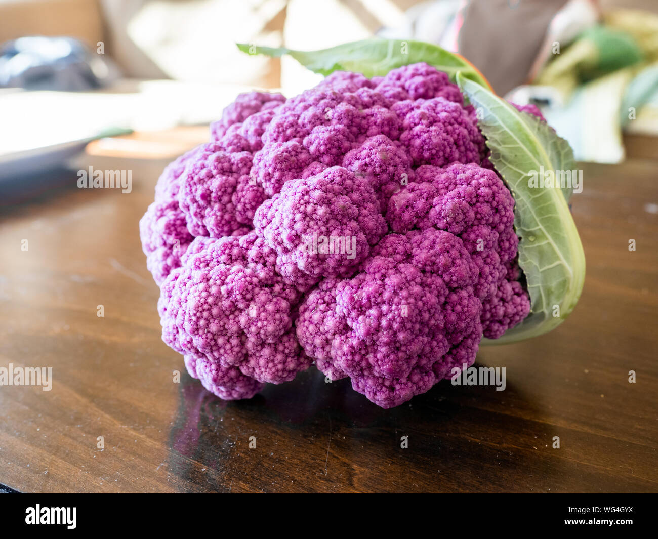 Close up view of organic purple cauliflower from farmer's market, Brassica oleracea var. botrytis, belonging to the plant order Capparales, gets color Stock Photo