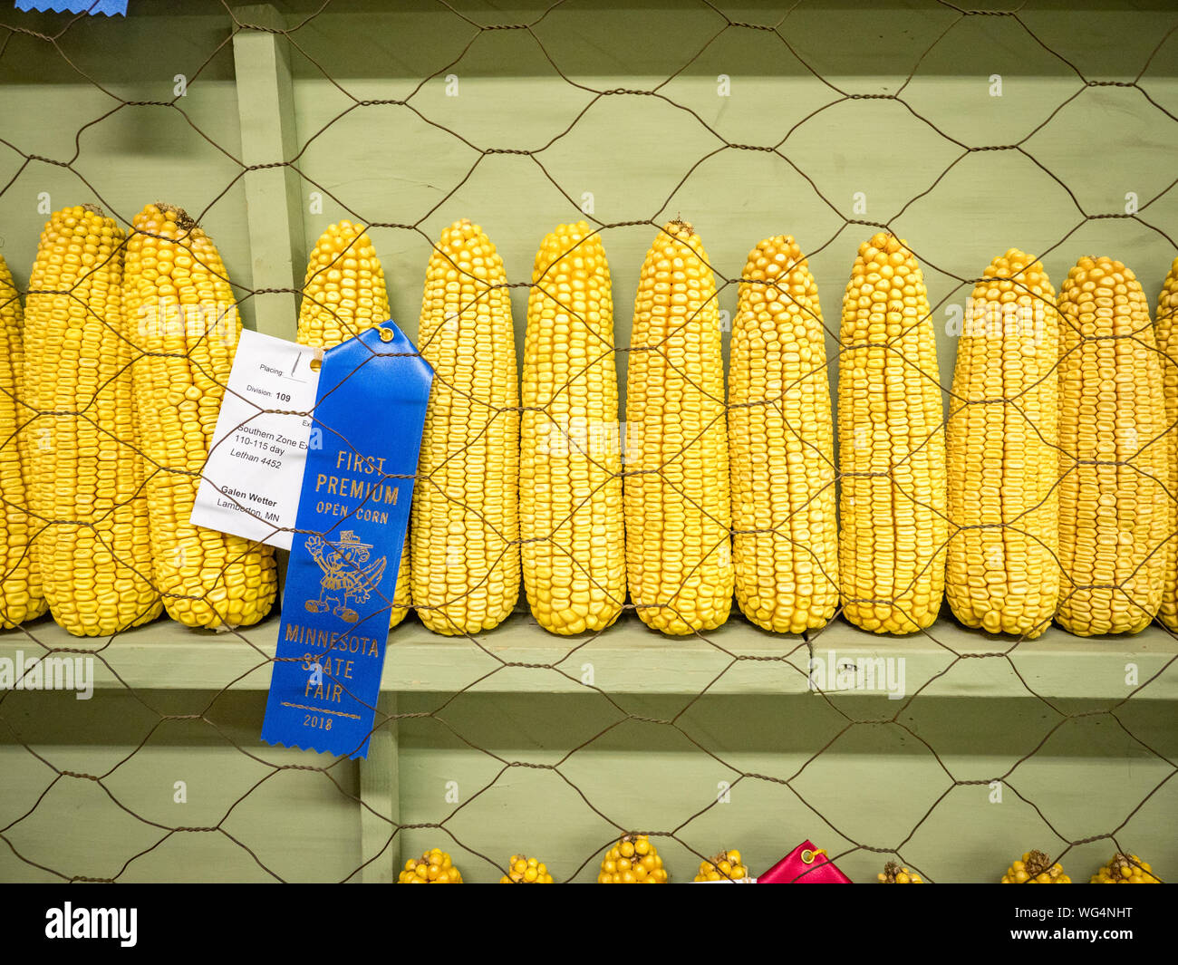 Minnesota state fair food hires stock photography and images Alamy