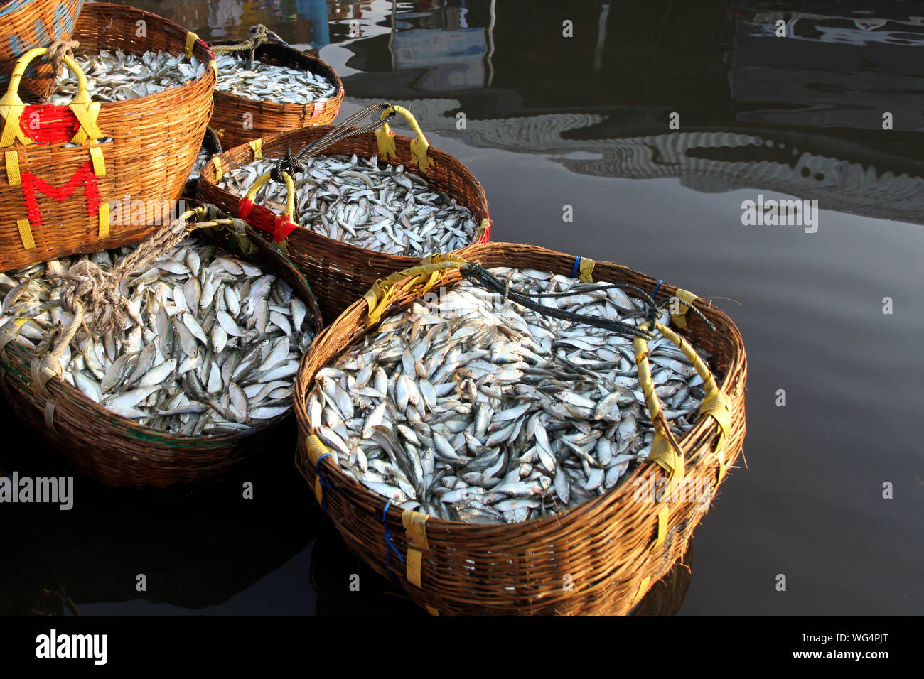 Fishing wicker basket fish hires stock photography and images Alamy