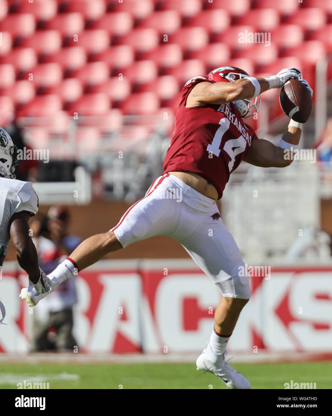 August 31, 2019 Chase Harrell 14 Razorback tight end reaches back to
