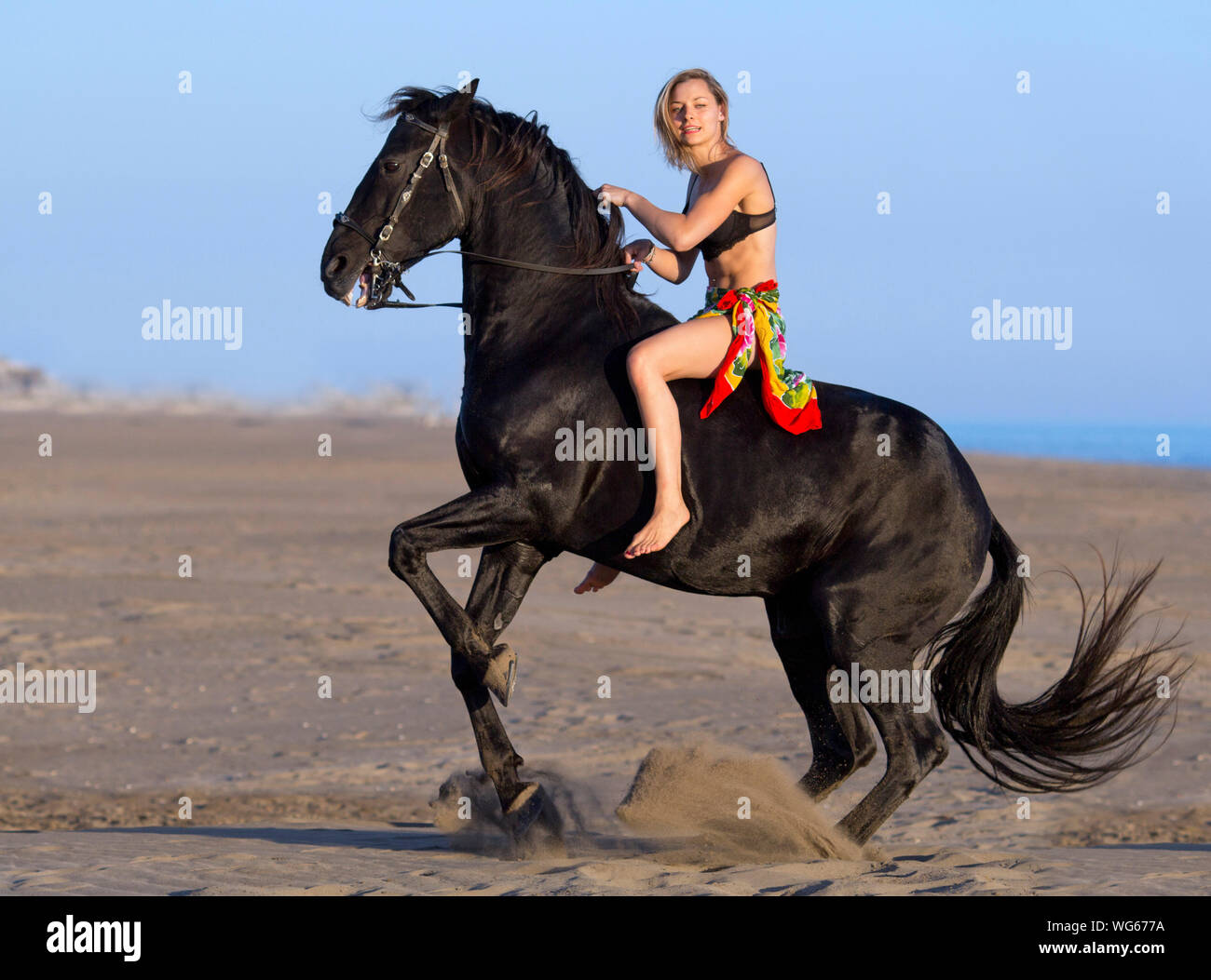 Young Woman Horseback Riding At Beach Stock Photo