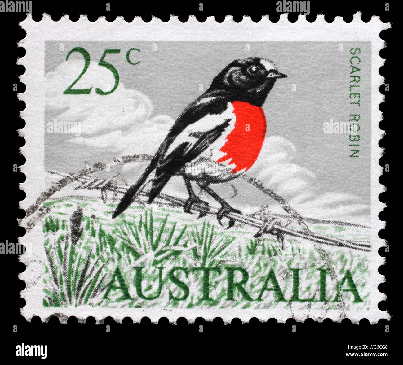 Stamp printed in Australia shows Eastern Scarlet Robin (Petroica boodang) - a common red-breasted Australasian robin, circa 1966. Stock Photo