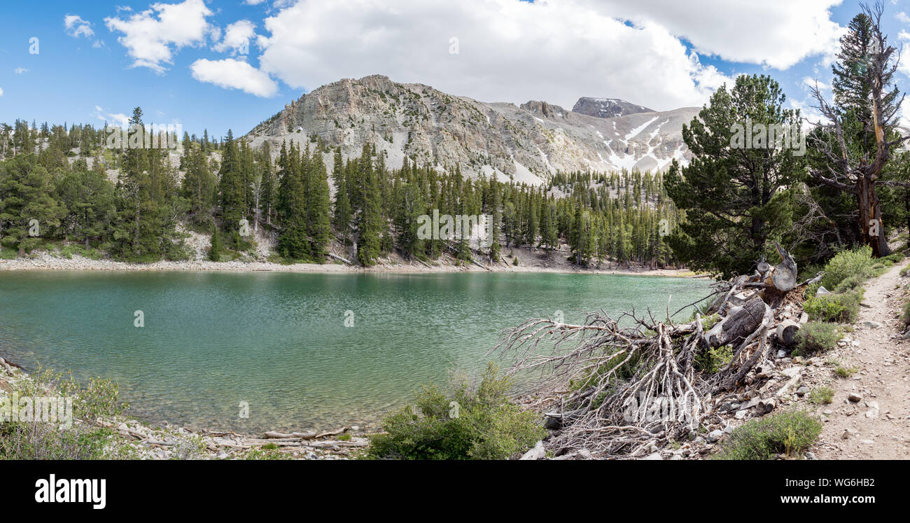 Theresa Lake, alpine lake in Great Basin National Park, Baker, Nevada, USA Stock Photo