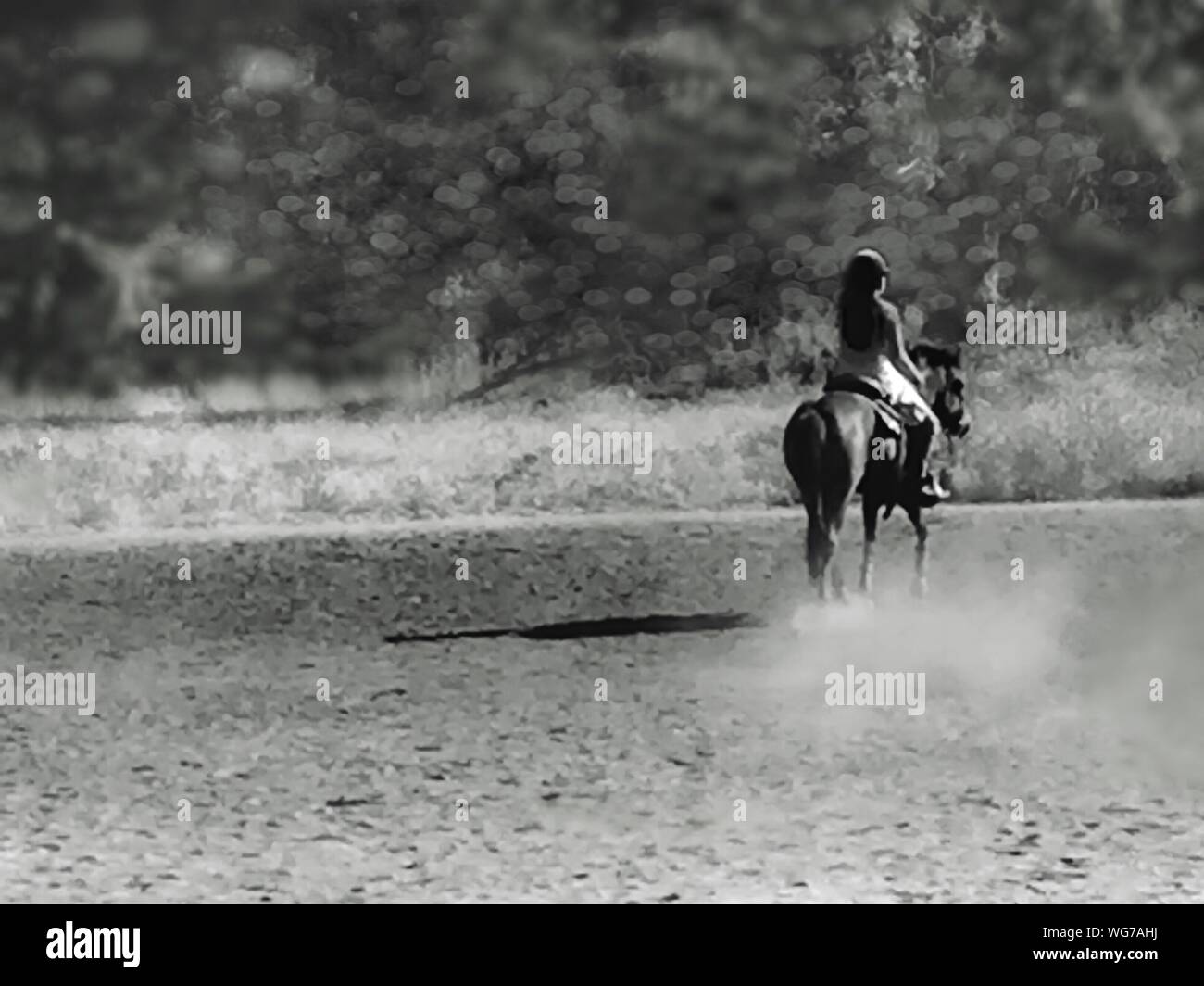 Rear view woman riding horse hi-res stock photography and images - Alamy
