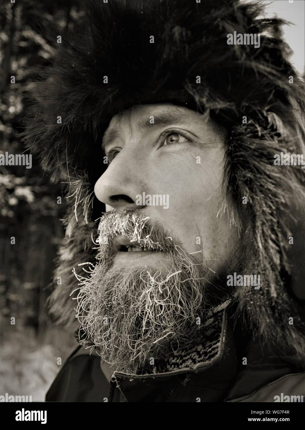 Frosted beard hires stock photography and images Alamy