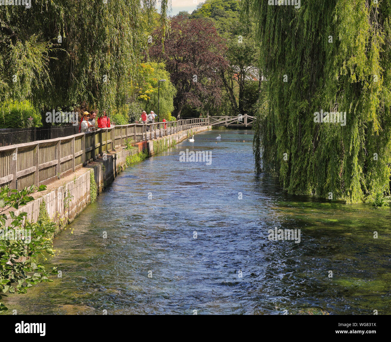 Footpath alongside the River Itchen in Winchester, Hampshire Stock