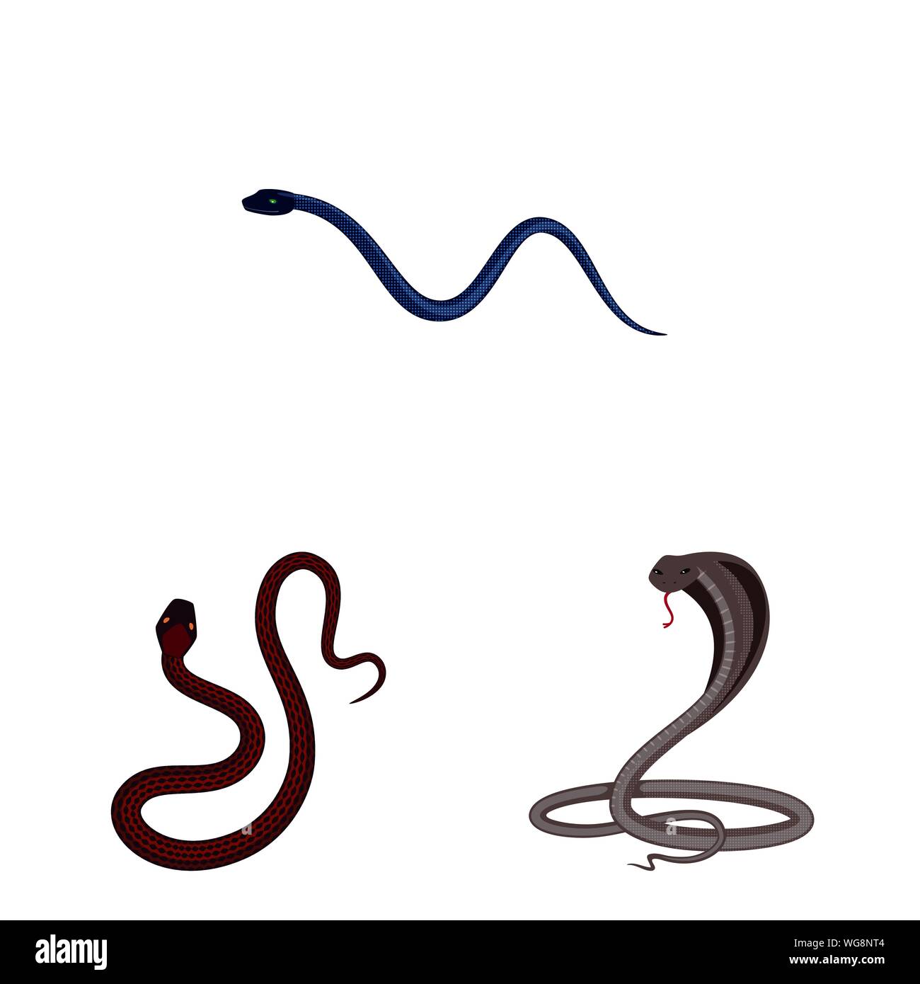 Vector Vectors Stock Vector Image & Art - Alamy