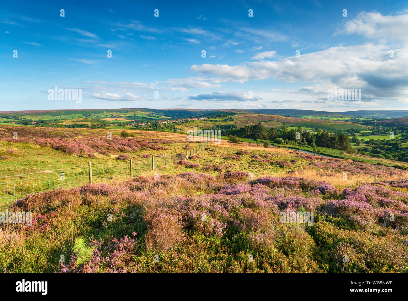 Castleton Rural Area Summer in the North York Moors National Park in Yorkshire, looking out ...