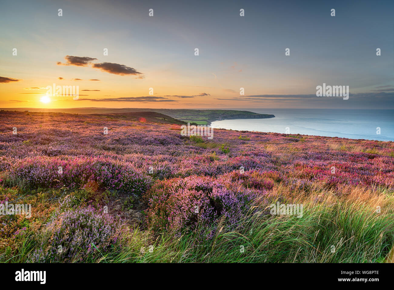 North York Moors National Park Hi res Stock Photography And Images Alamy north-york-moors-national-park-hi-res-stock-photography-and-images-alamy