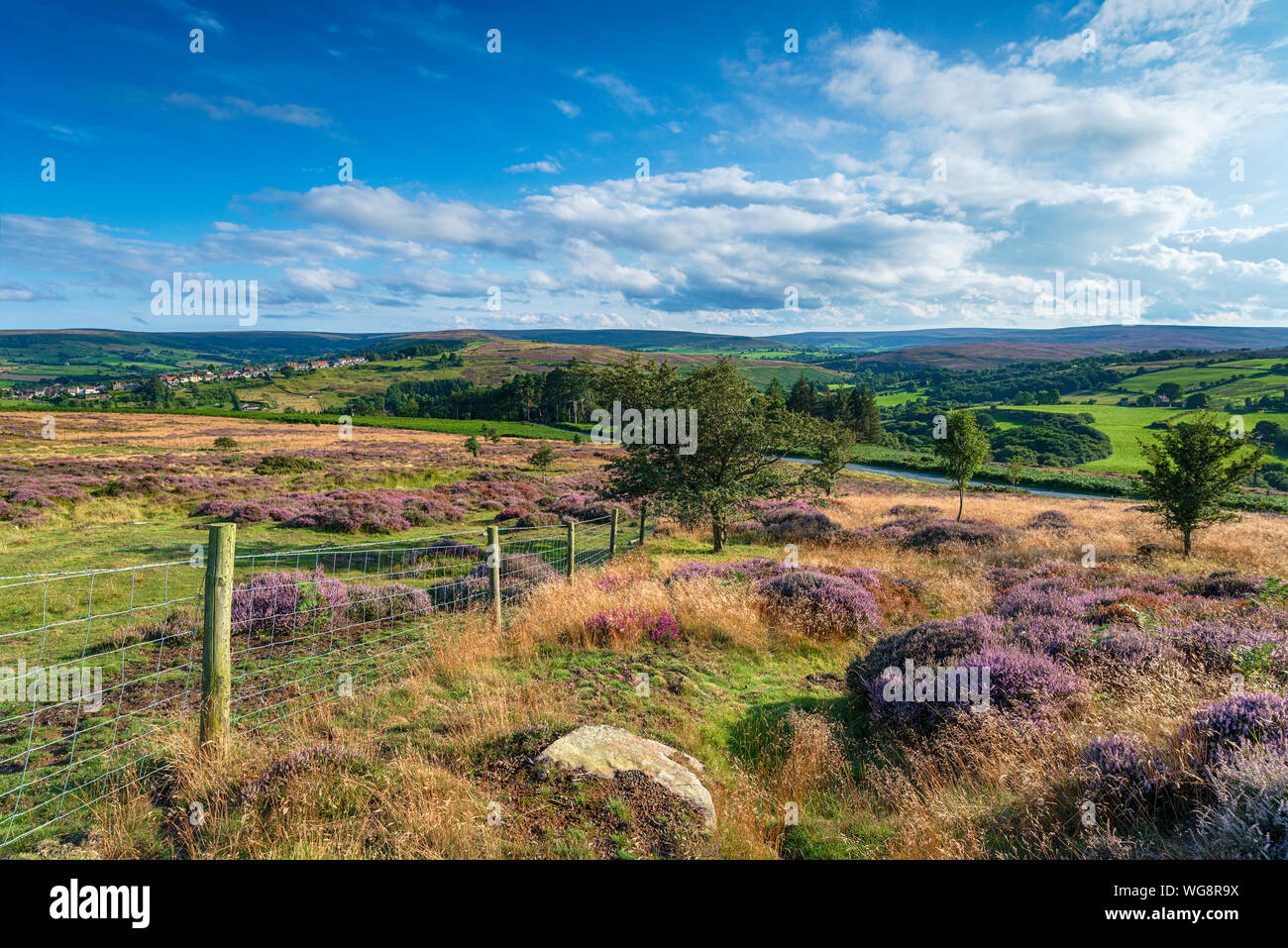 Castleton Rural Area The North York Moors National Park in Yorkshire, looking out across the ...