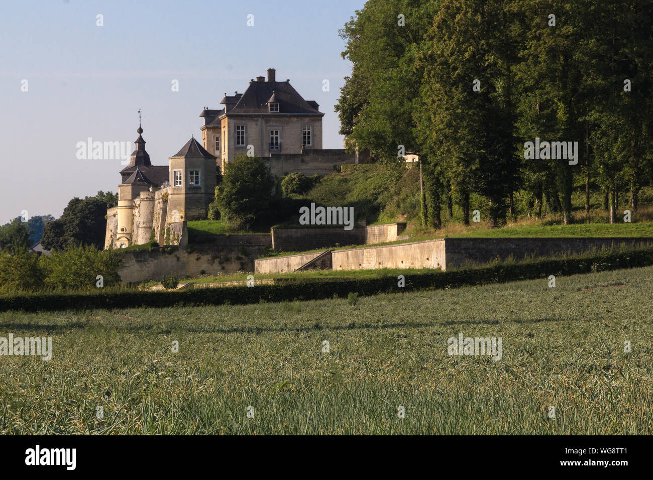 agricultural fields with wine yards and in the distance a castle at the border of the Netherlands and Belgium Stock Photo