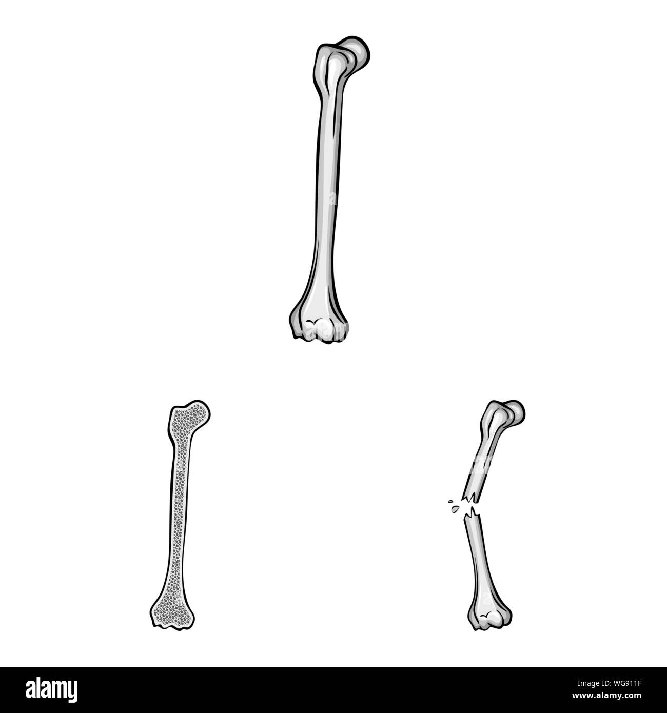Vector Vectors Stock Vector Image & Art - Alamy