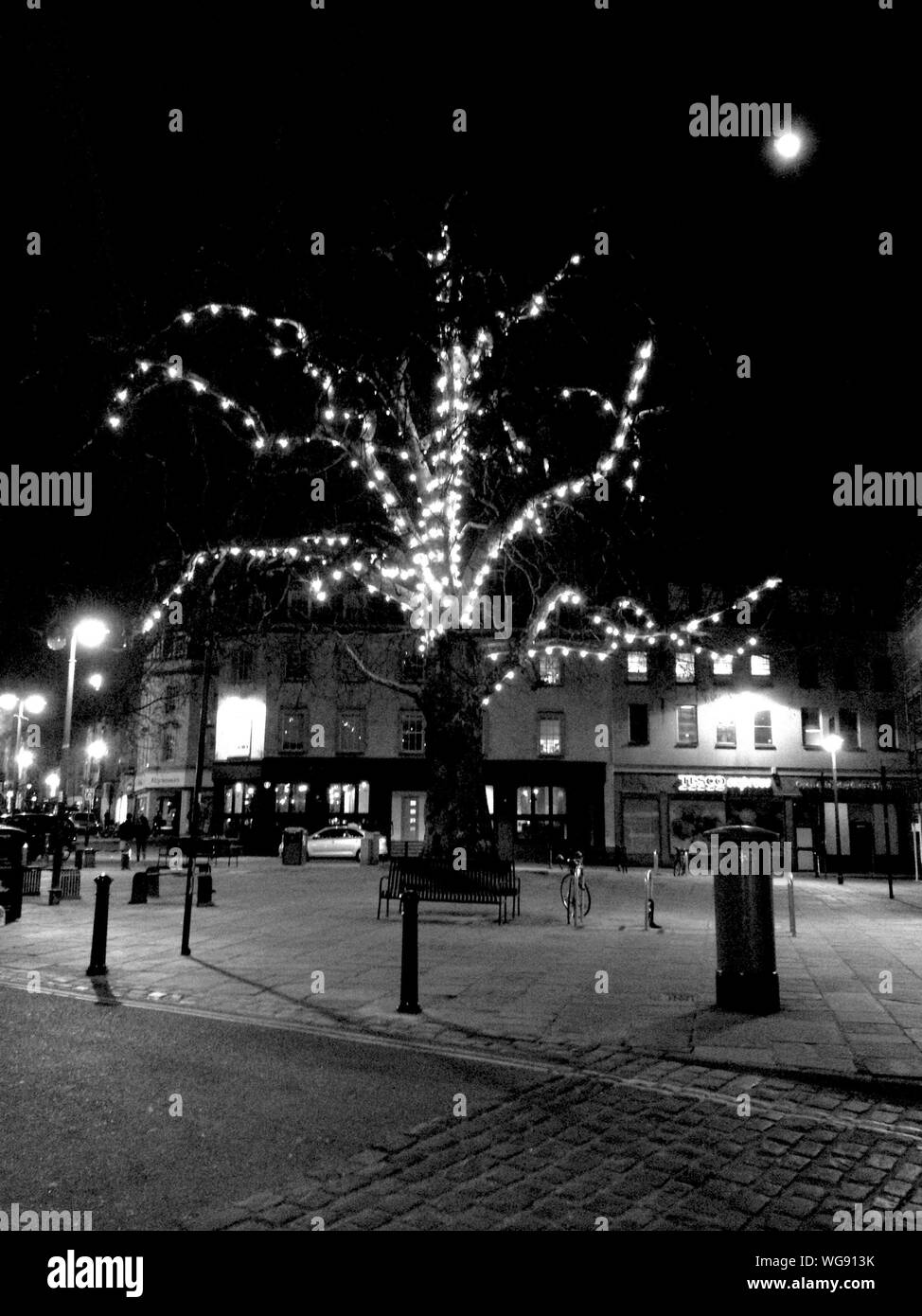 Illuminated Lighting Decoration On Tree At Kingsmead Square Stock Photo