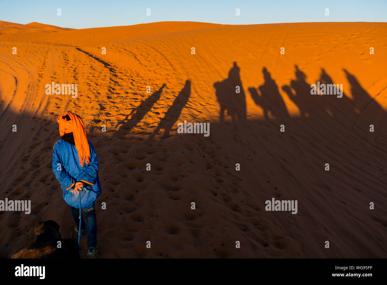 Camels caravan shadows projected over Erg Chebbi desert sand dunes at Morocco Stock Photo
