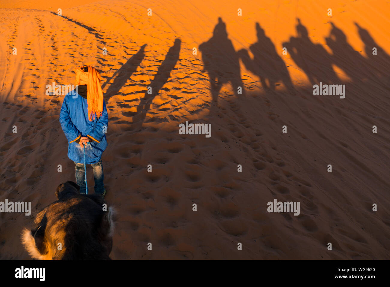Camels caravan shadows projected over Erg Chebbi desert sand dunes at Morocco Stock Photo