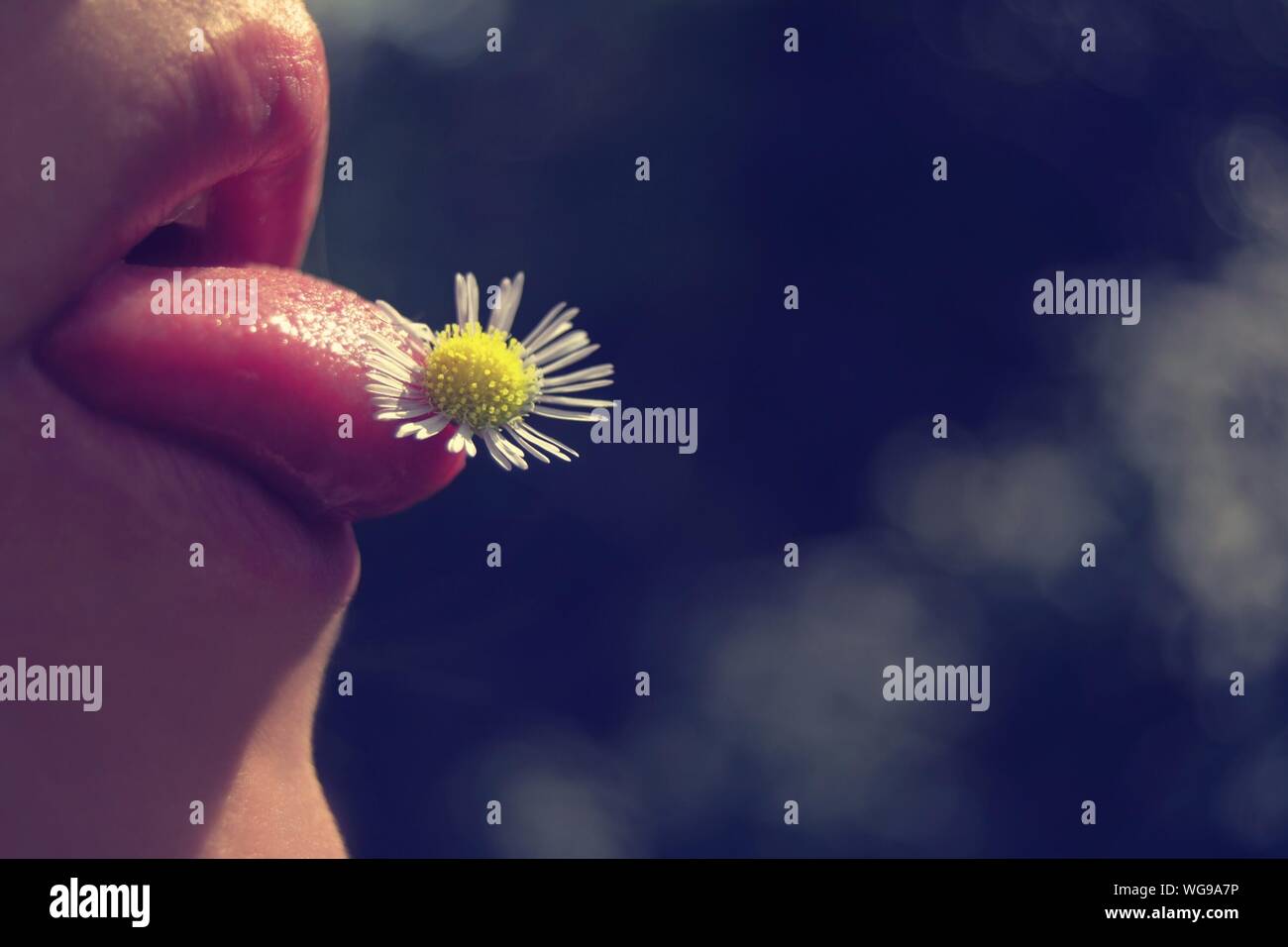 Flower tongue hires stock photography and images Alamy