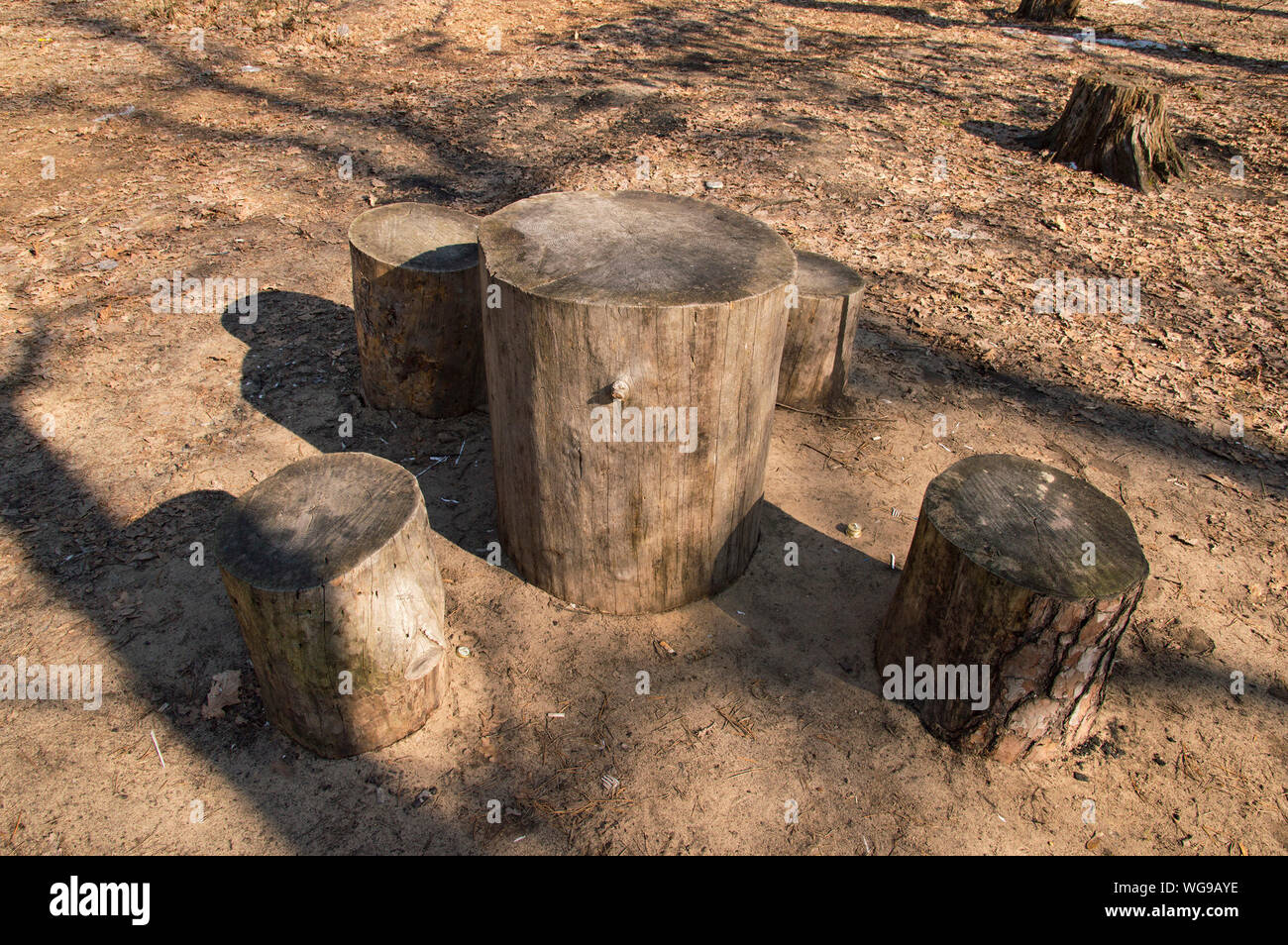 Tree Stump Bench Stock Photos Tree Stump Bench Stock Images