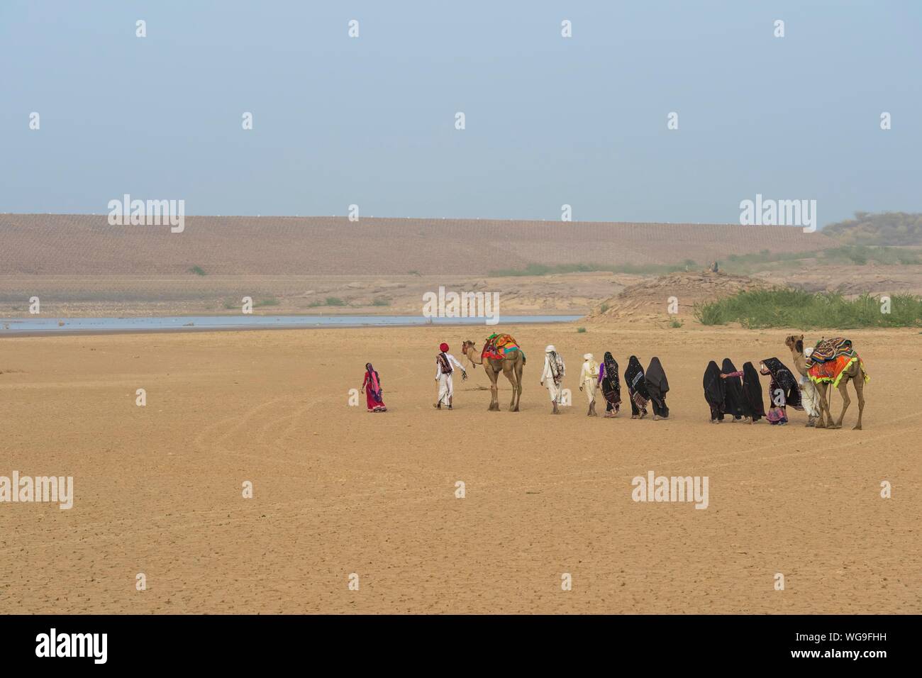 Rabari tribe people walking in the desert with a dromedary, Great Rann of Kutch, Gujarat, India Stock Photo
