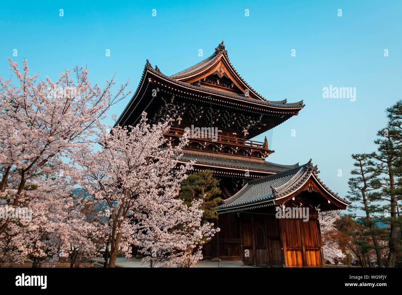 Japanese Temple, Tor Sanmon, Konkai-Komyoji Temple, Cherry Blossom Time, Kurodanicho, Kyoto, Japan Stock Photo