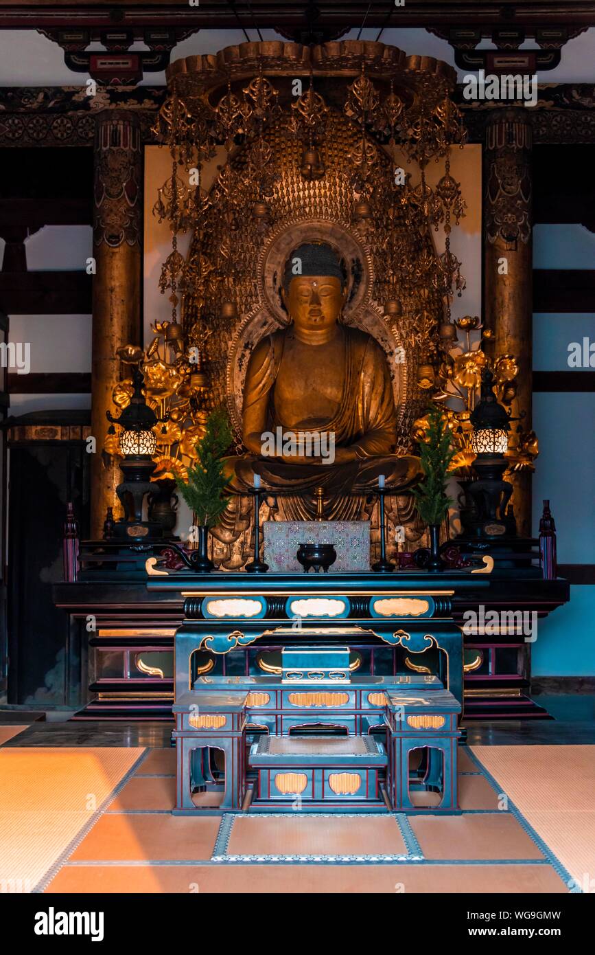 Buddha statue in konkai komyoji temple hi-res stock photography and ...