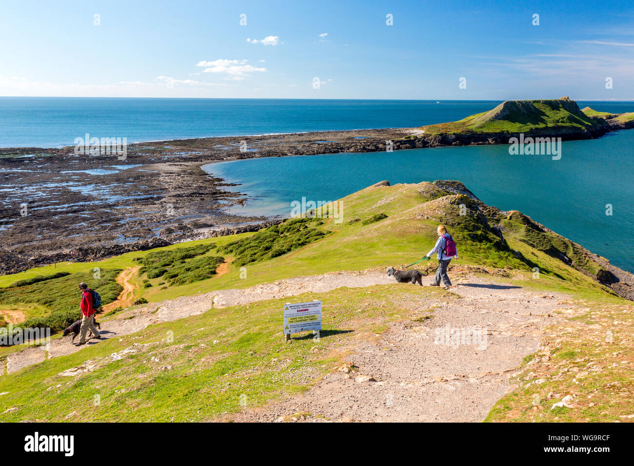 Gower peninsula dog hires stock photography and images Alamy