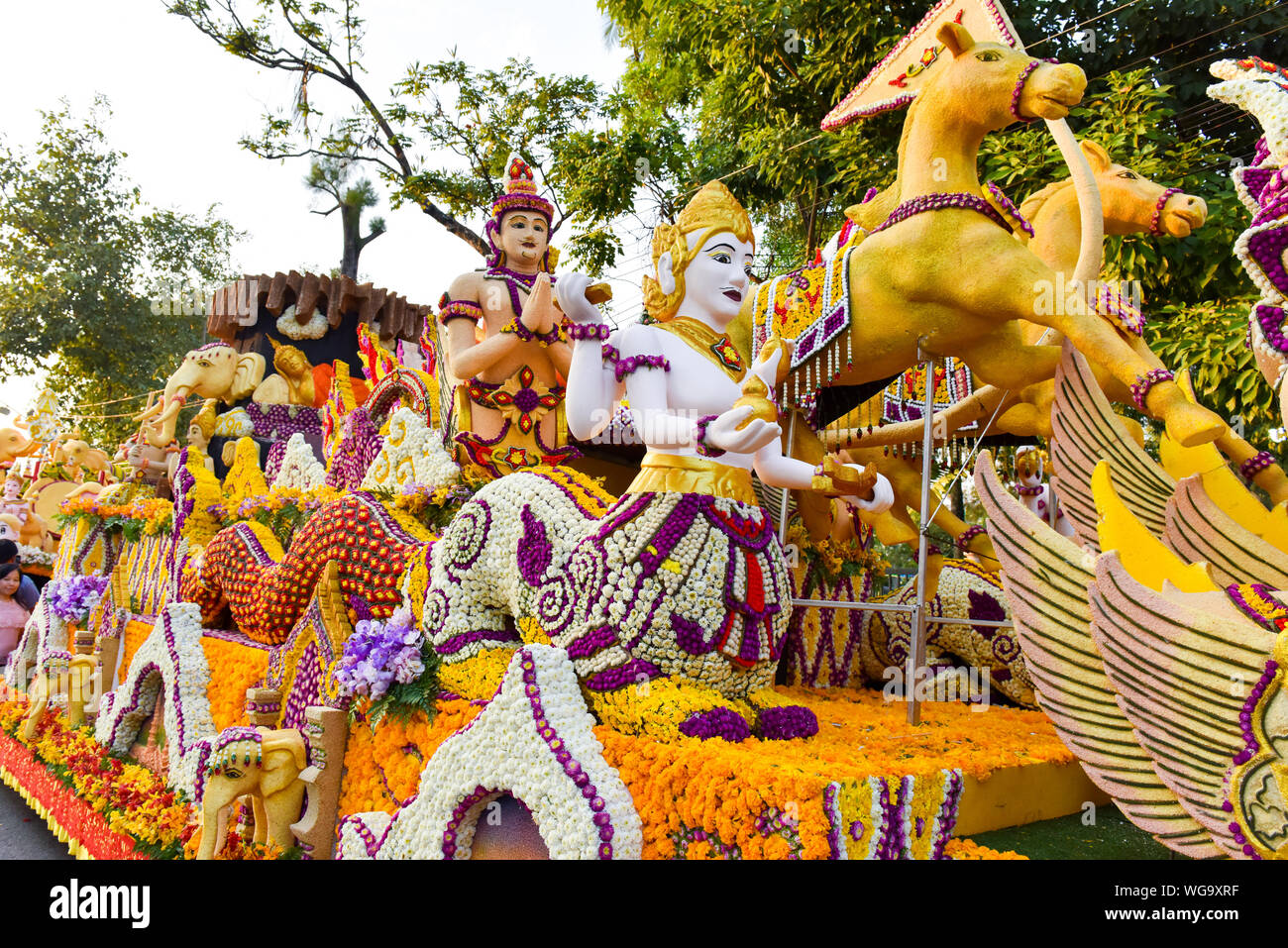 Chiang Mai Flower Festival, Thailand Stock Photo Alamy