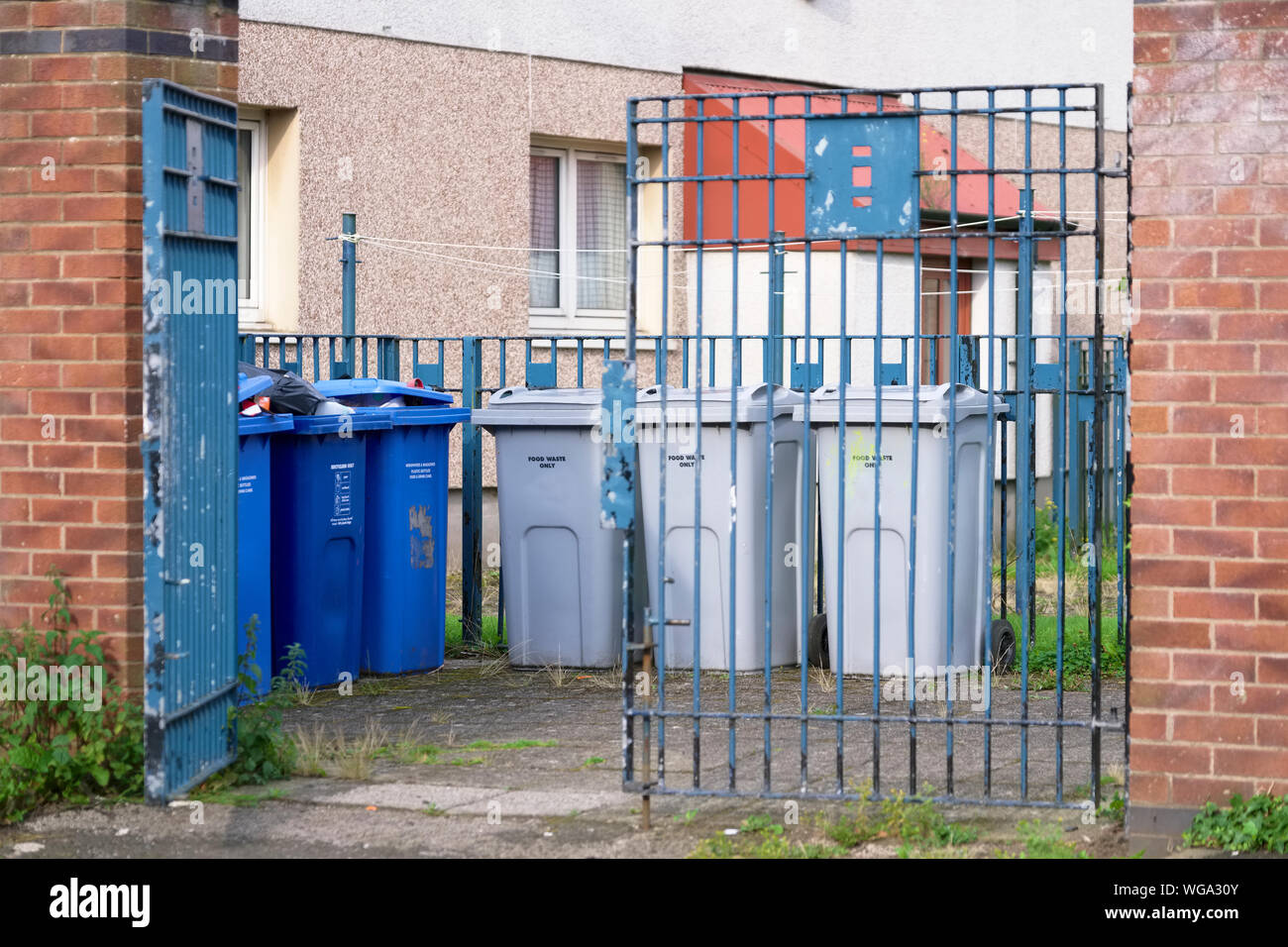 Wheelie bin collection at council estate compound enclosure Stock Photo