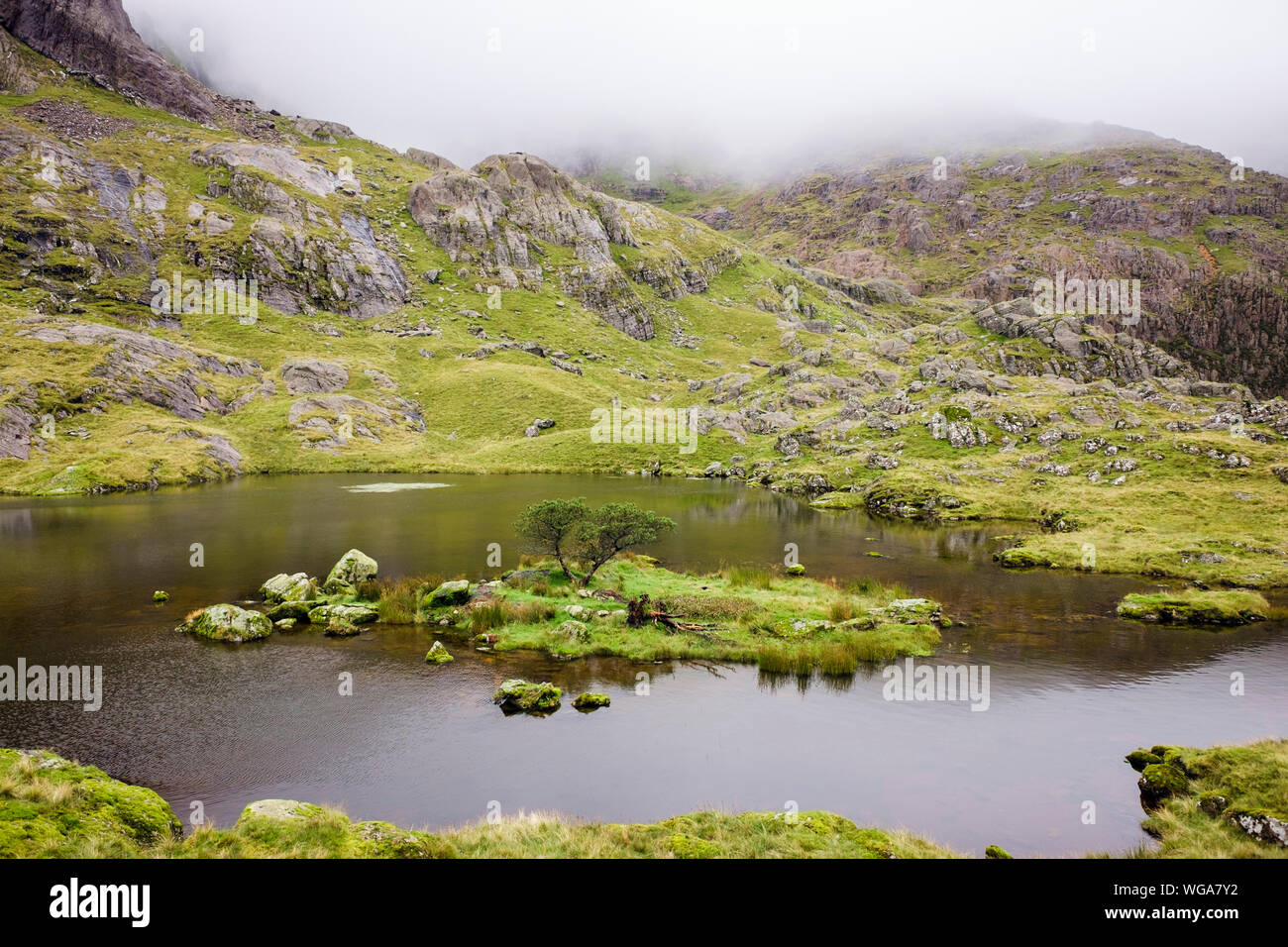 Remote Llyn Glas lake with tree on an island in Cwm Glas with low cloud on mountains of Snowdonia National Park. Nant Peris Llanberis Gwynedd Wales UK Stock Photo