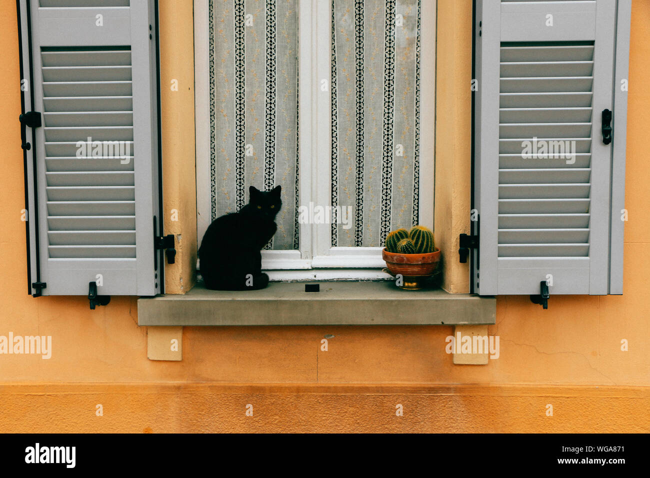 Cat Sitting On Window Sill Stock Photo Alamy