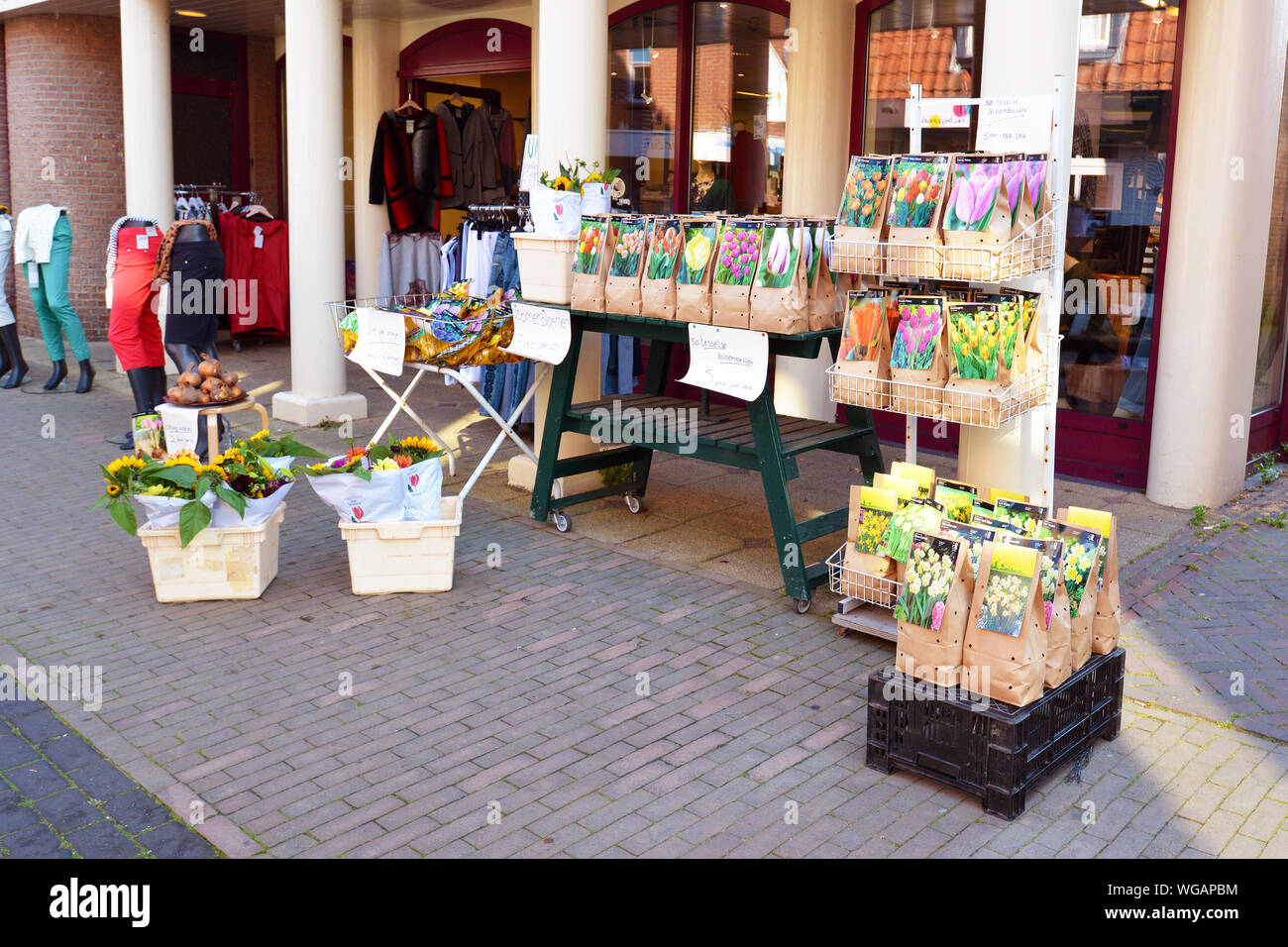 Den Burg, Texel / North Netherlands - August 2019: Booth with dutch tulip bulbs being sold in the streets Stock Photo