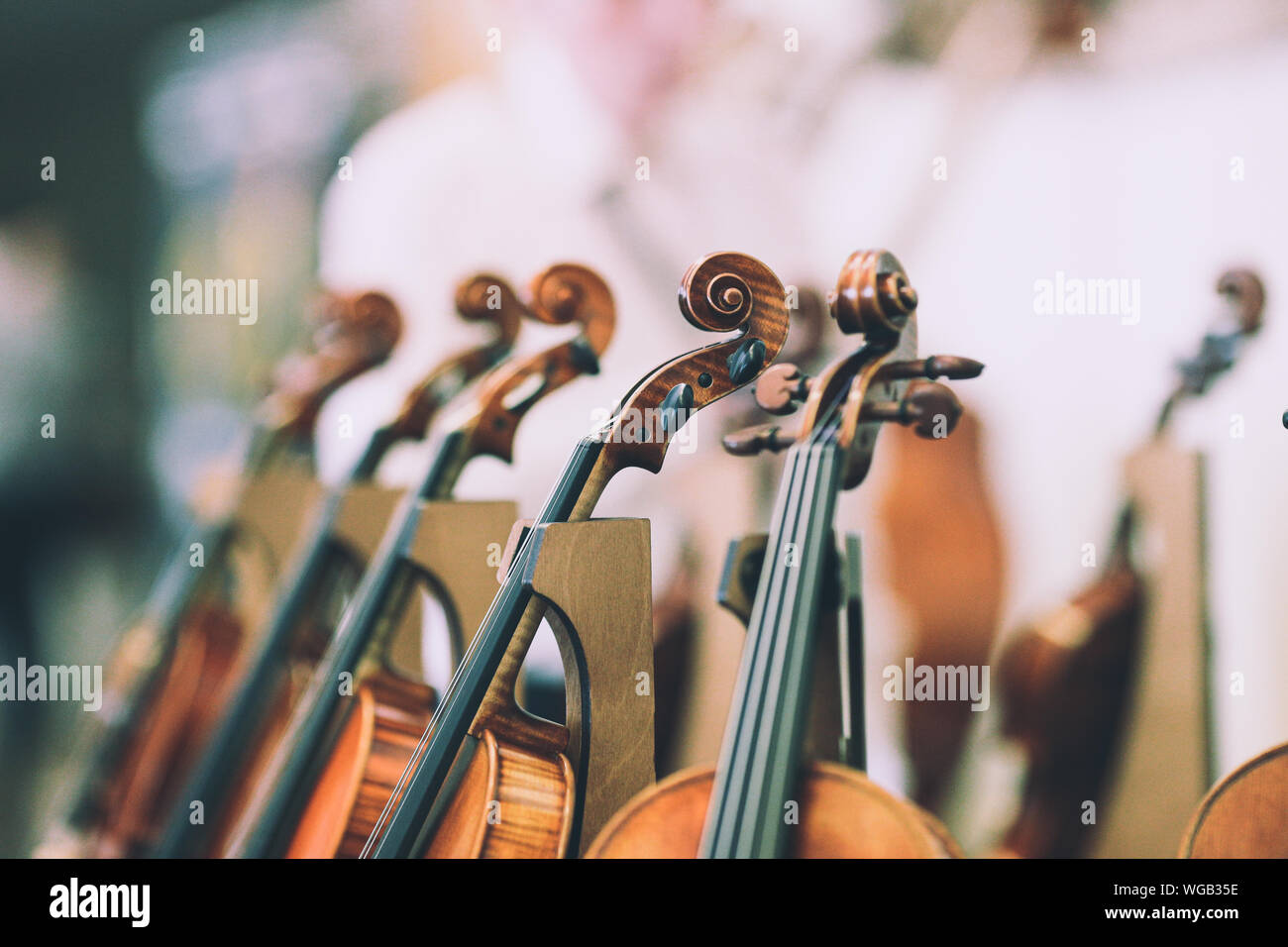 Details with the scroll, peg box, tuning pegs, strings, neck and fingerboard of a violin before a symphonic classical concert Stock Photo