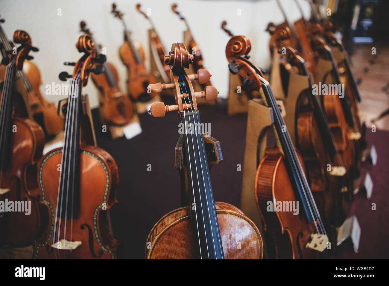 Details with the scroll, peg box, tuning pegs, strings, neck and