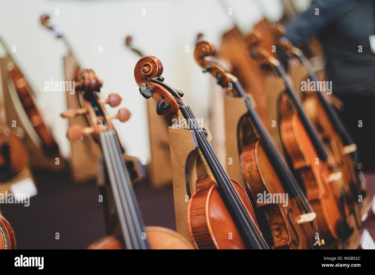 Details with the scroll, peg box, tuning pegs, strings, neck and