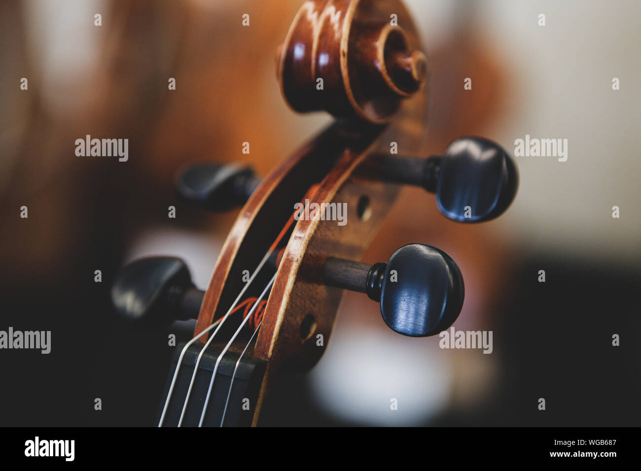 Details with the scroll, peg box, tuning pegs, strings, neck and fingerboard of a violin before