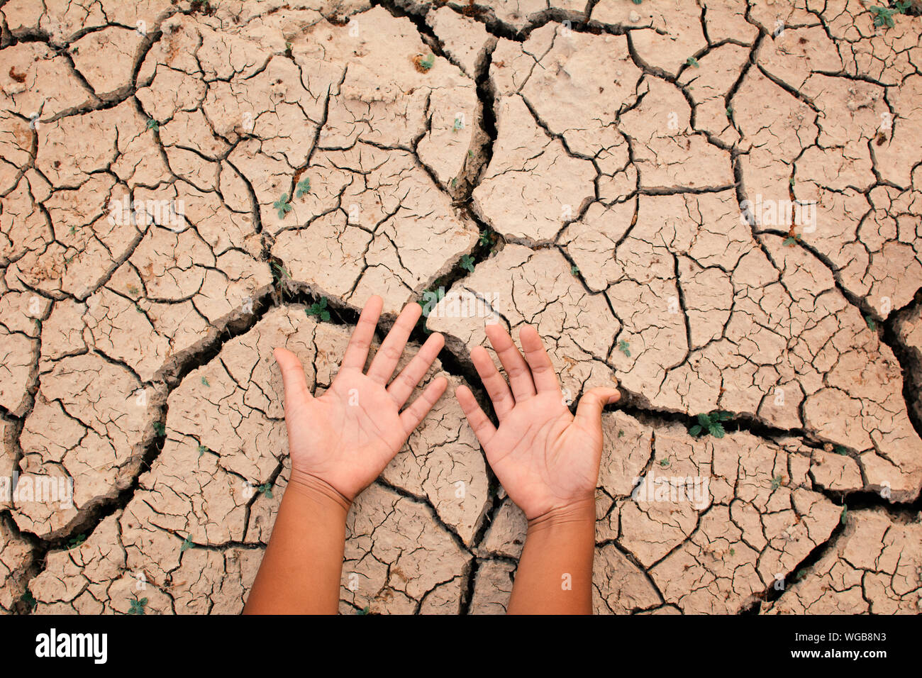 Cropped Hands On Barren Land Stock Photo