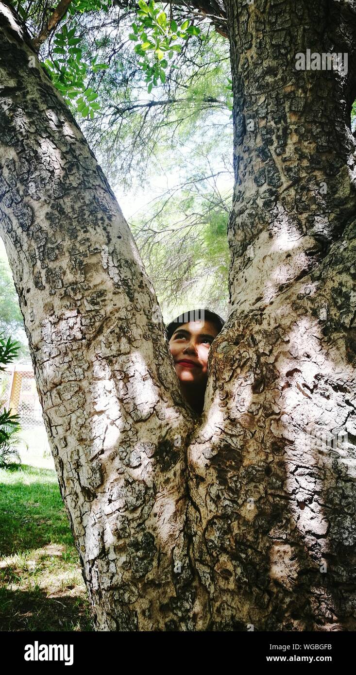 Staring Behind Tree Hiding behind tree hi-res stock photography and images - Alamy