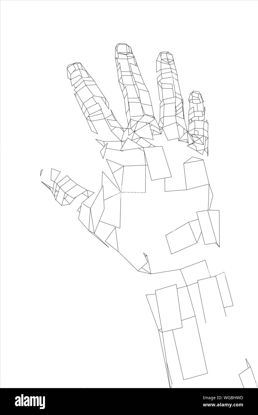 Wire Hand Vector Outline human hand vector. Wire-frame style Stock Vector Image & Art ...