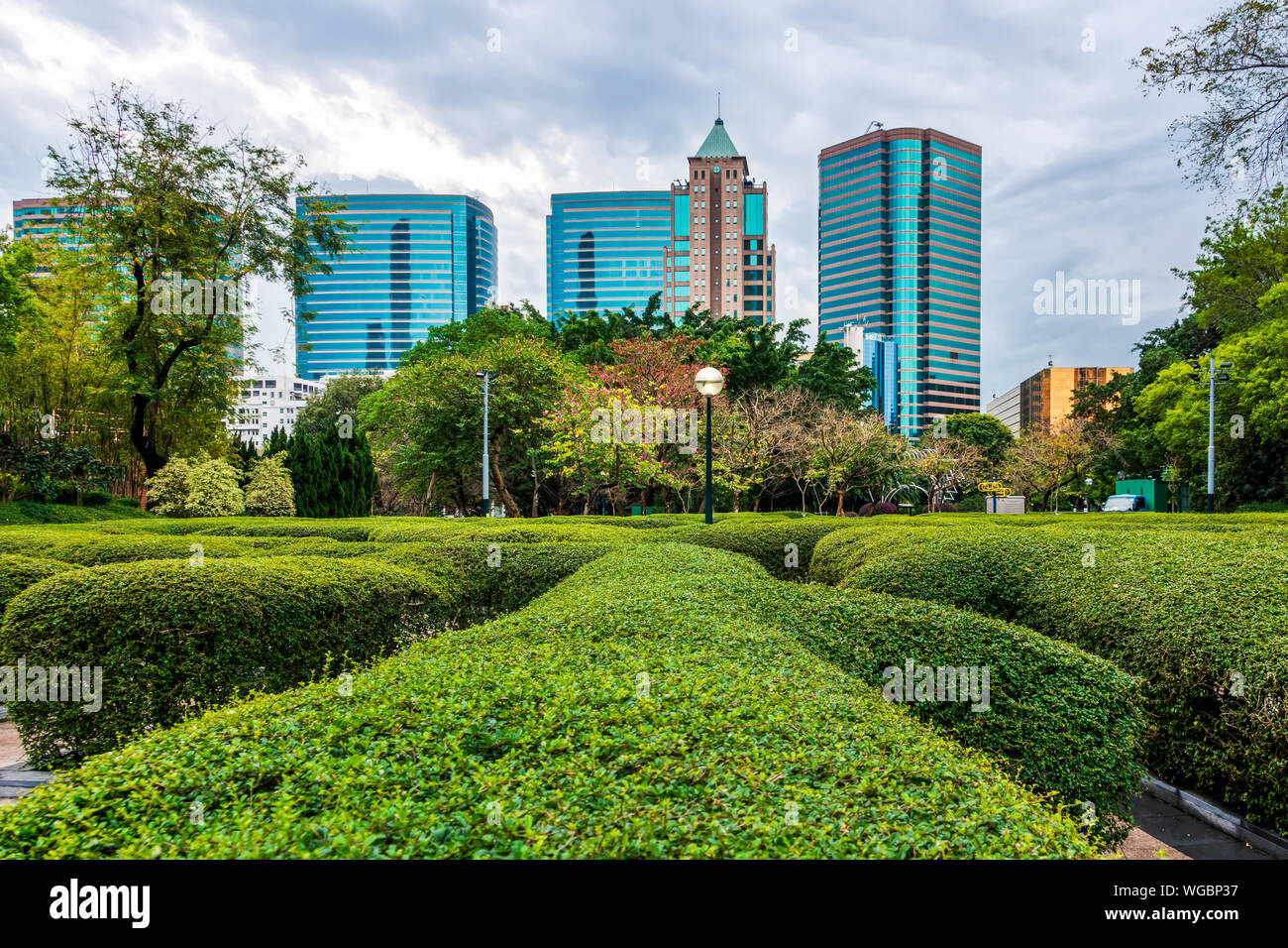 Green hedges at Kowloon Park with skyscrapers in background. Kowloon Park is a large public park in Tsim Sha Tsui, Hong Kong Stock Photo