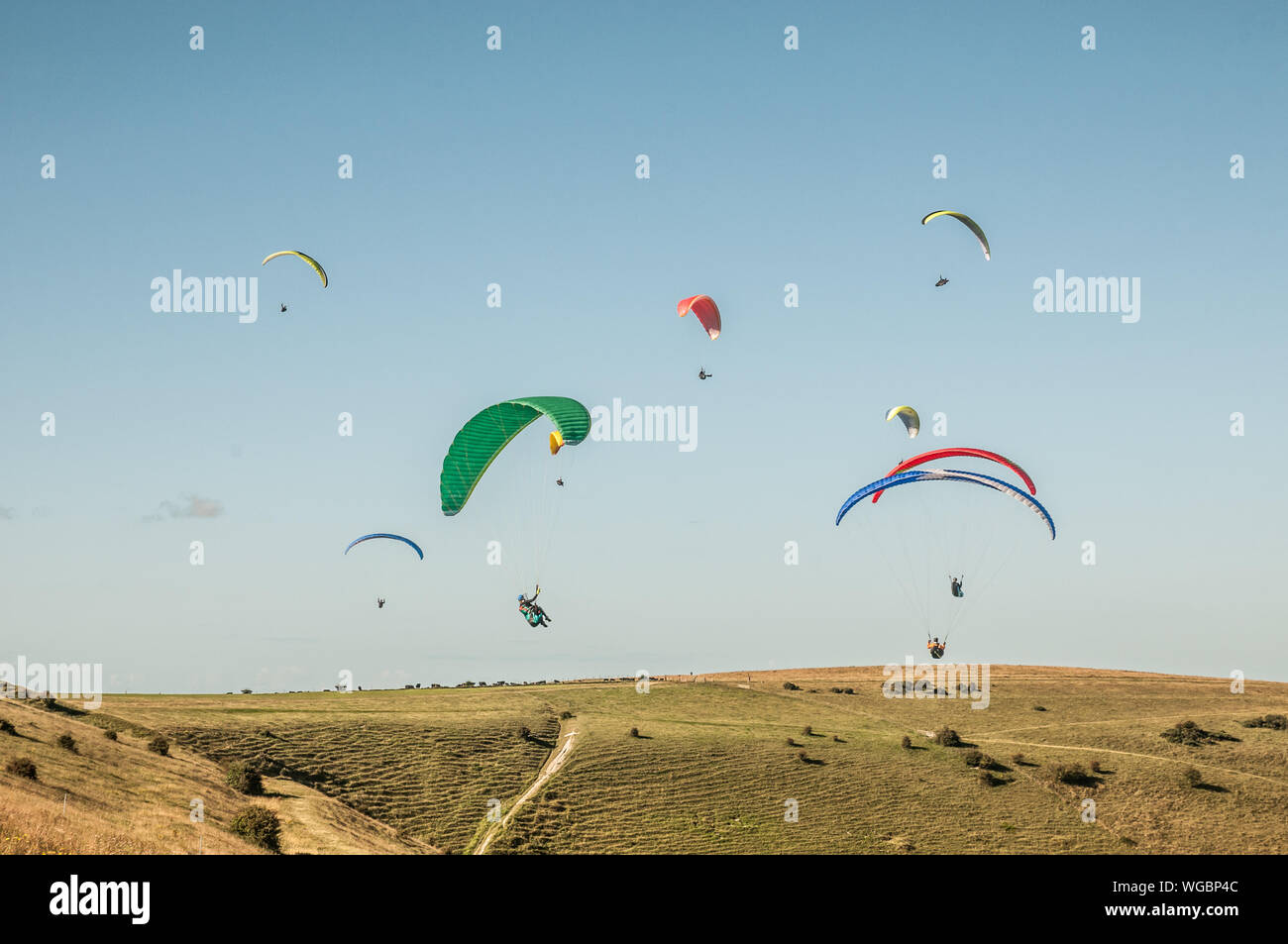 Devils Dyke, Brighton, Sussex, UK..1st September 2019..North Westerley wind brings paraglider pilots to the popular site North of Brighton in the beautiful South Downs. . Stock Photo