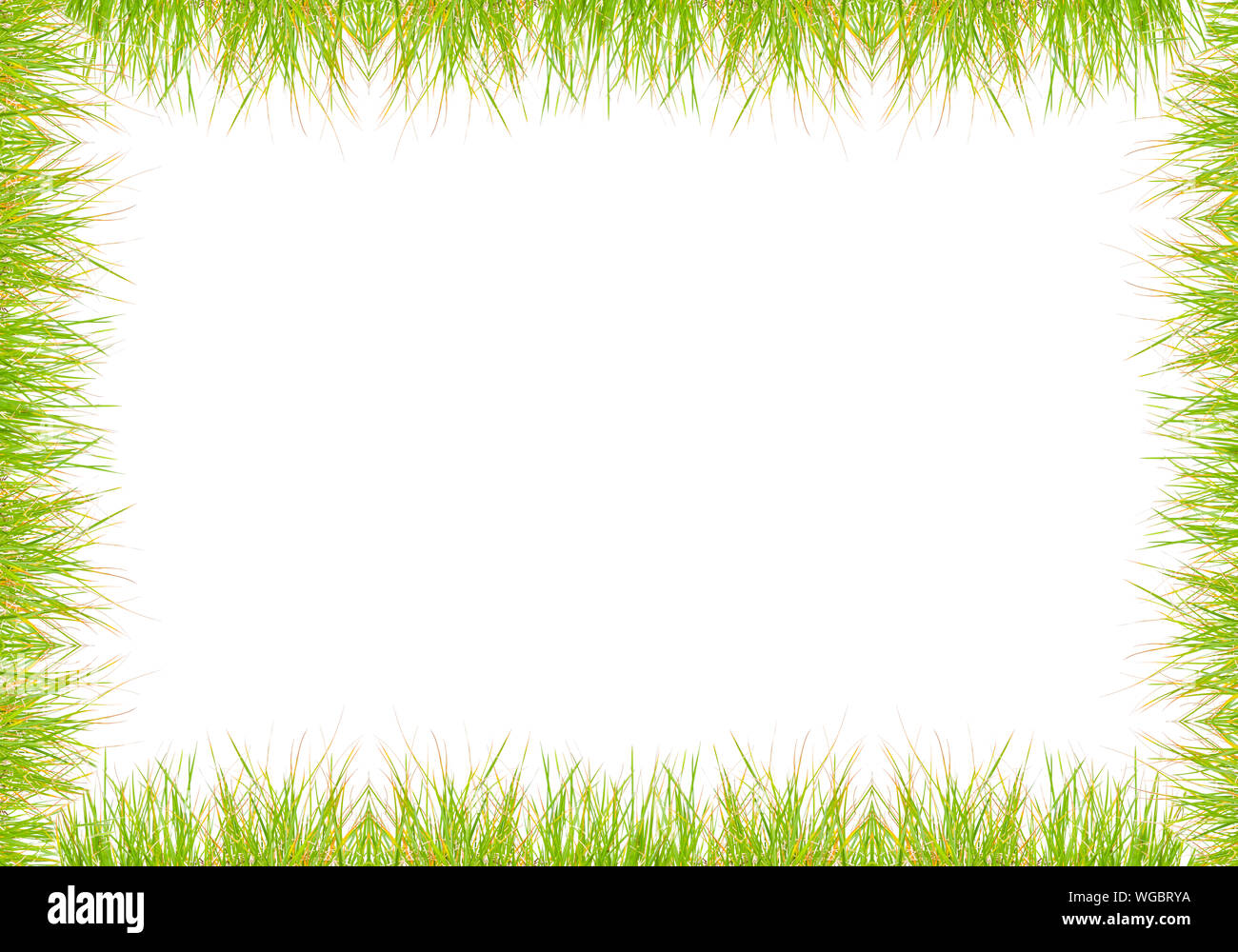 Green grass frame over a white background Stock Photo - Alamy