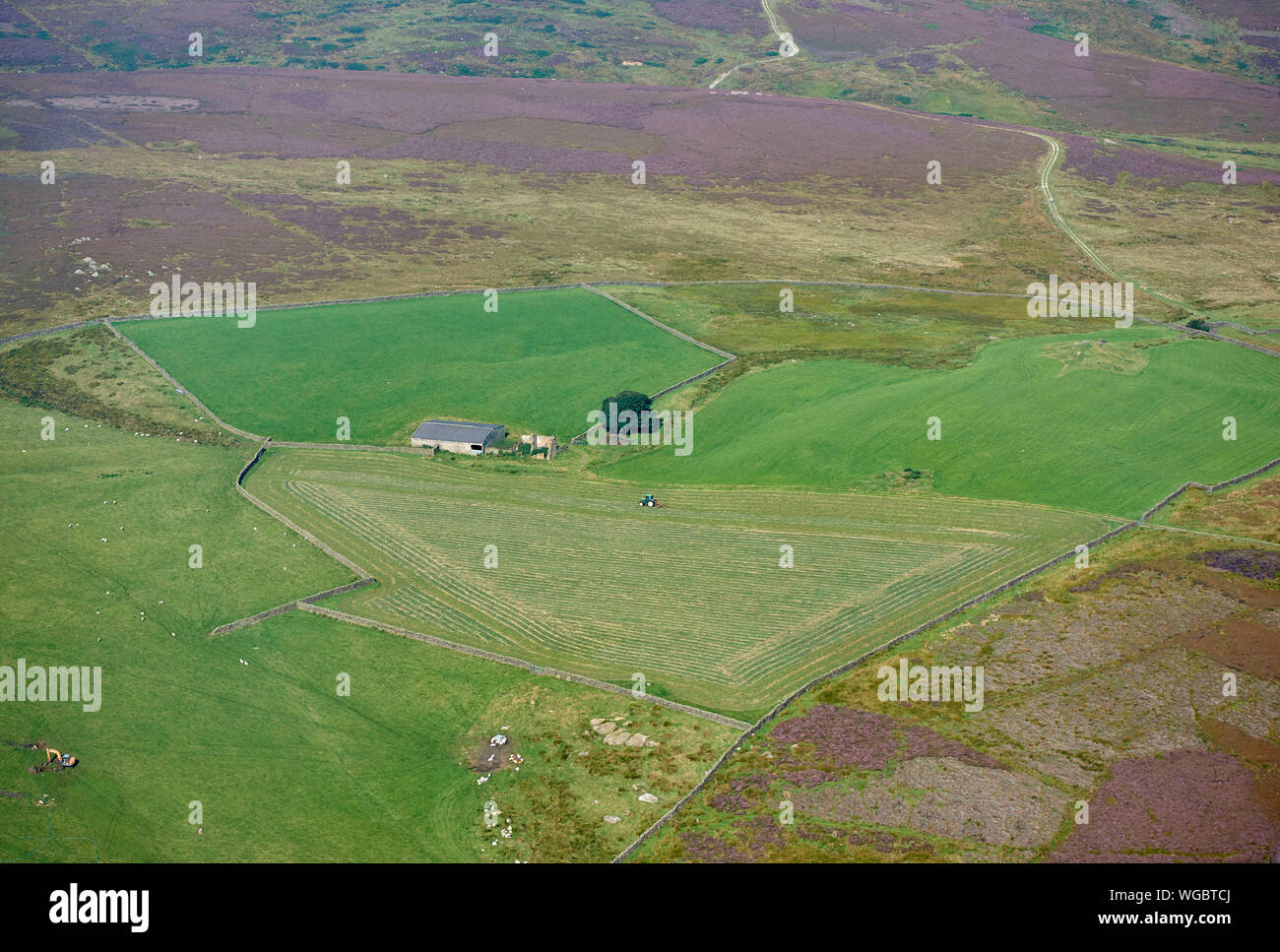 Tractor cutting Hay, upland farm, Yorkshire Dales, northern England, UK Stock Photo