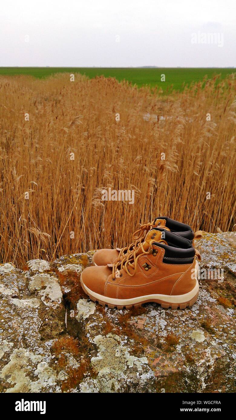 waterproof brogue boots