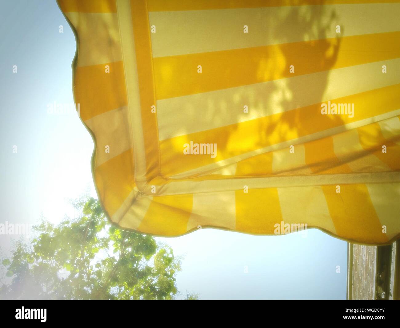 Download Yellow Awning High Resolution Stock Photography And Images Alamy PSD Mockup Templates