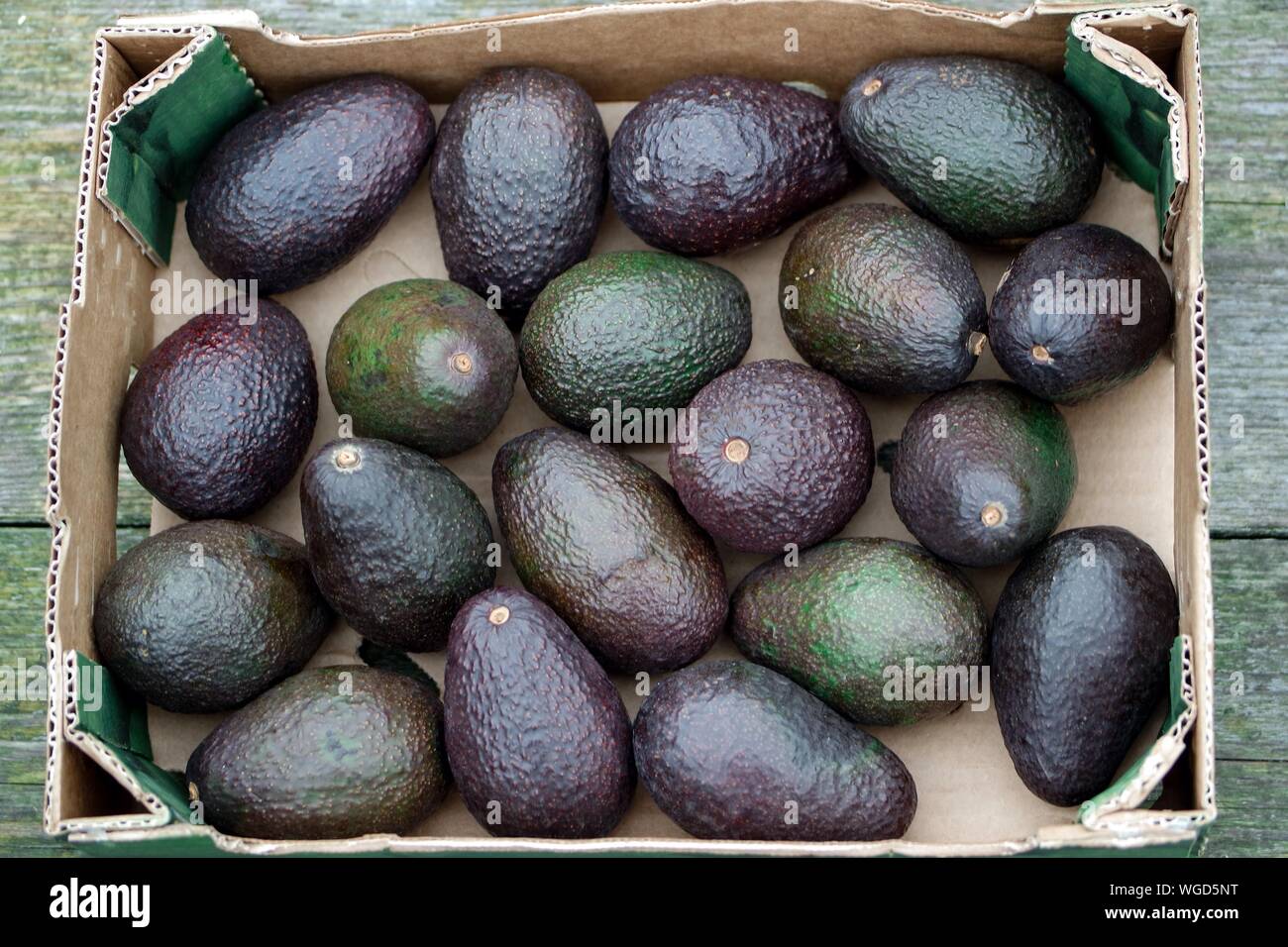 Download Avocados Box High Resolution Stock Photography And Images Alamy PSD Mockup Templates