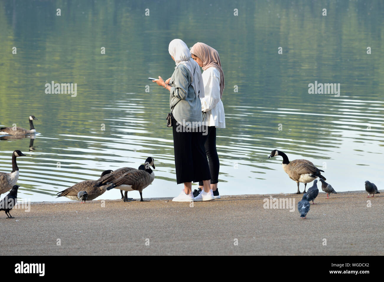 Two teenage girls wearing headscarves on mobile phones whilst feeding the birds on Serpentine lake, Hyde Park, London, United Kingdom Stock Photo