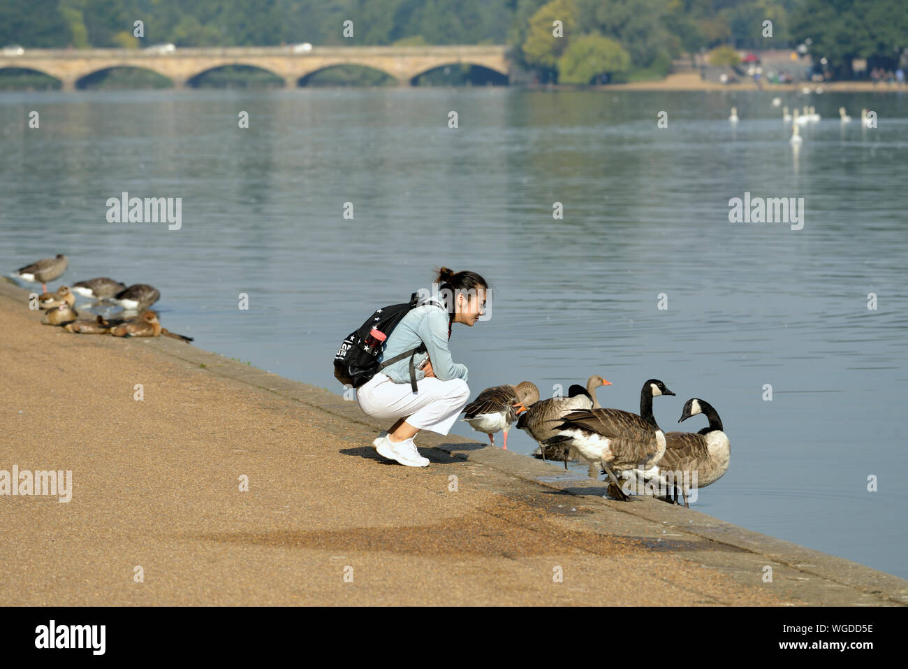 Young Oriental or Asian girl with backpack feeding the birds on Serpentine lake, Hyde Park, London, United Kingdom Stock Photo