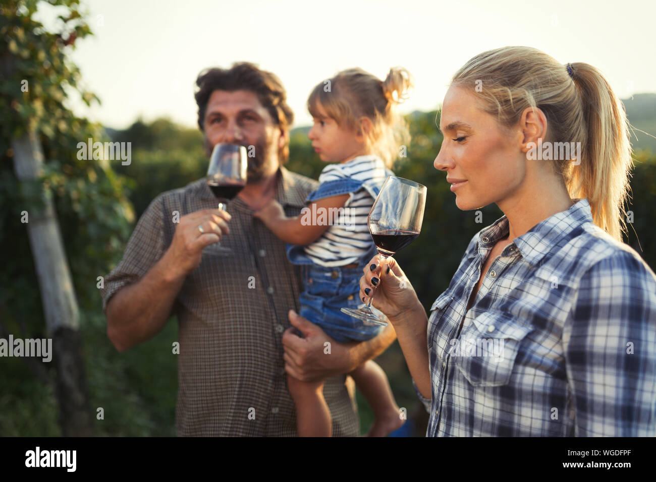 Picture of people tasting red wine in vineyard Stock Photo - Alamy