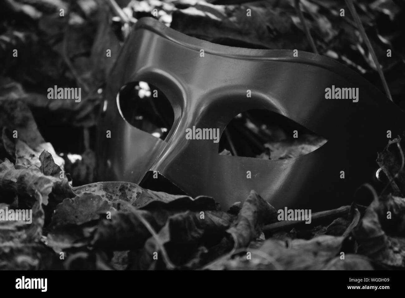 Monochrome masquerade ball victorian mask on fallen leaves Stock Photo