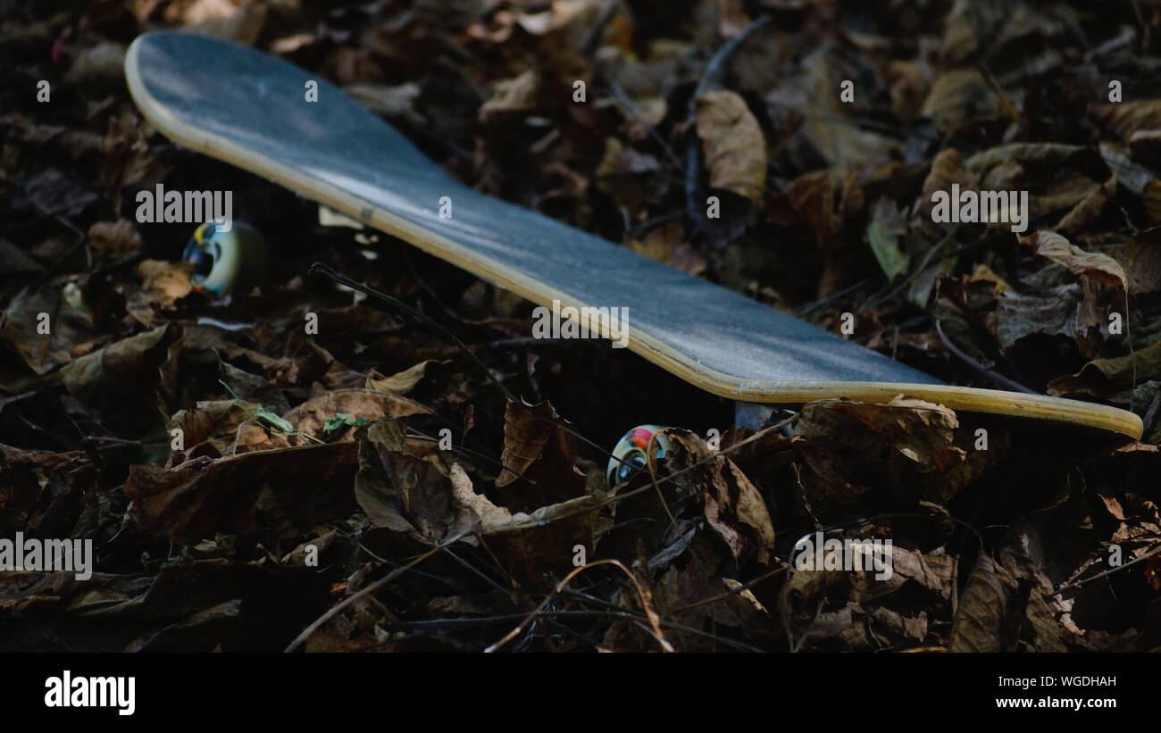 Skateboard on a fallen leaves Stock Photo