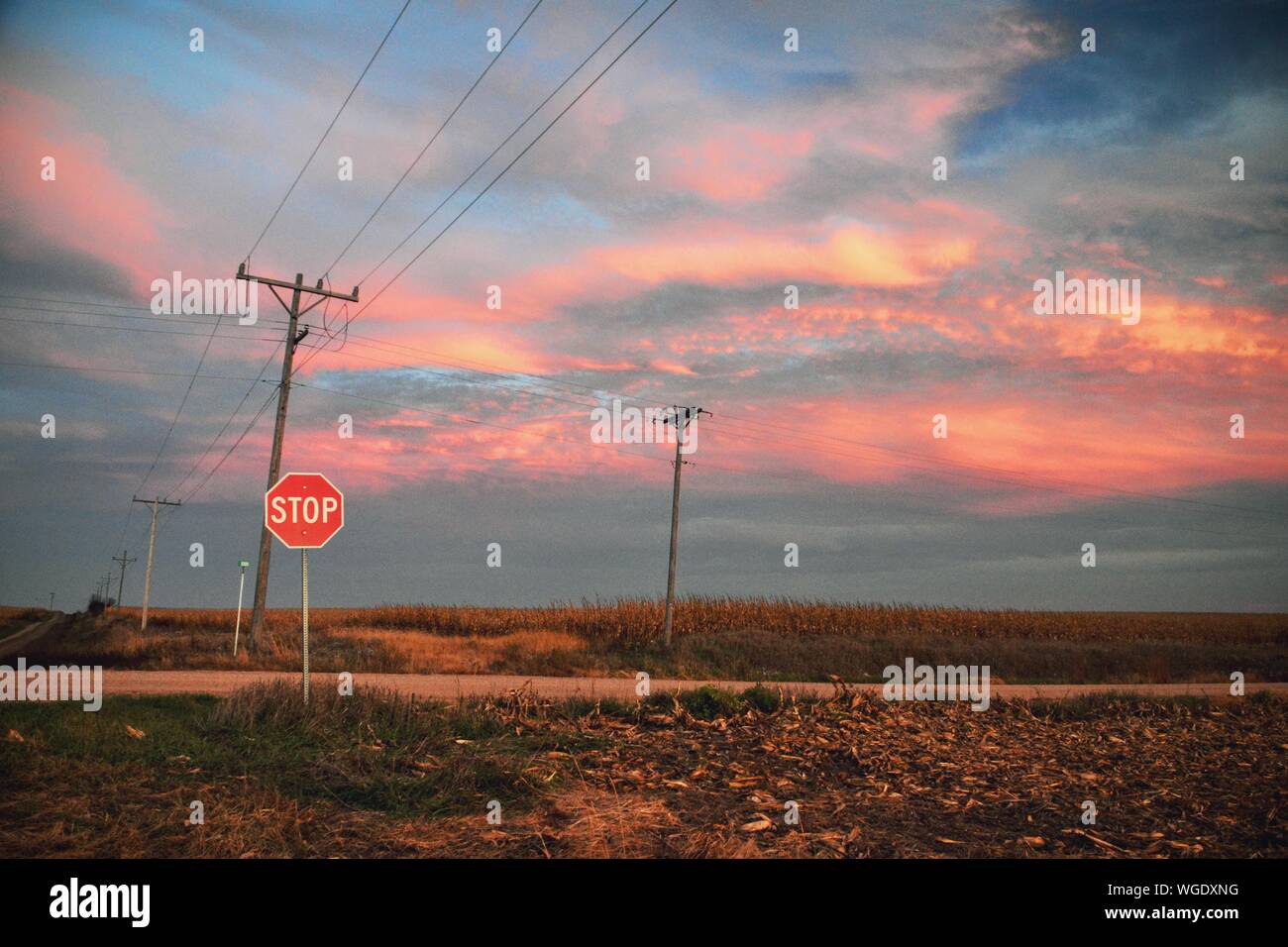 Power line stop sign High Resolution Stock Photography and Images - Alamy